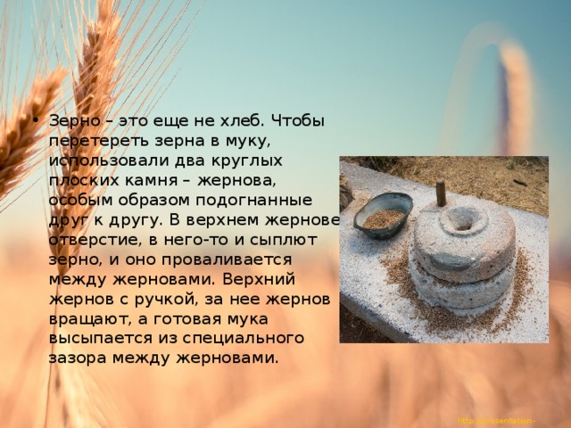Зерно – это еще не хлеб. Чтобы перетереть зерна в муку, использовали два круглых плоских камня – жернова, особым образом подогнанные друг к другу. В верхнем жернове отверстие, в него-то и сыплют зерно, и оно проваливается между жерновами. Верхний жернов с ручкой, за нее жернов вращают, а готовая мука высыпается из специального зазора между жерновами. 
