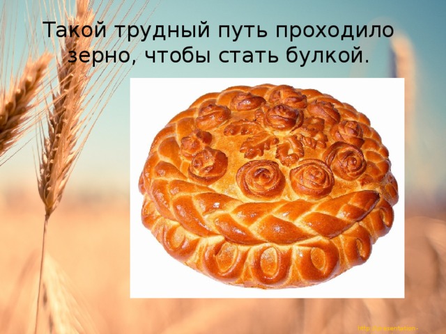 Такой трудный путь проходило зерно, чтобы стать булкой. 