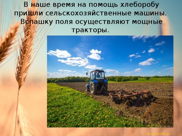 В наше время на помощь хлеборобу пришли сельскохозяйственные машины.  Вспашку поля осуществляют мощные тракторы. 