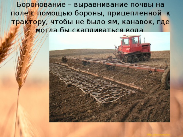 Боронование – выравнивание почвы на поле с помощью бороны, прицепленной к трактору, чтобы не было ям, канавок, где могла бы скапливаться вода. 
