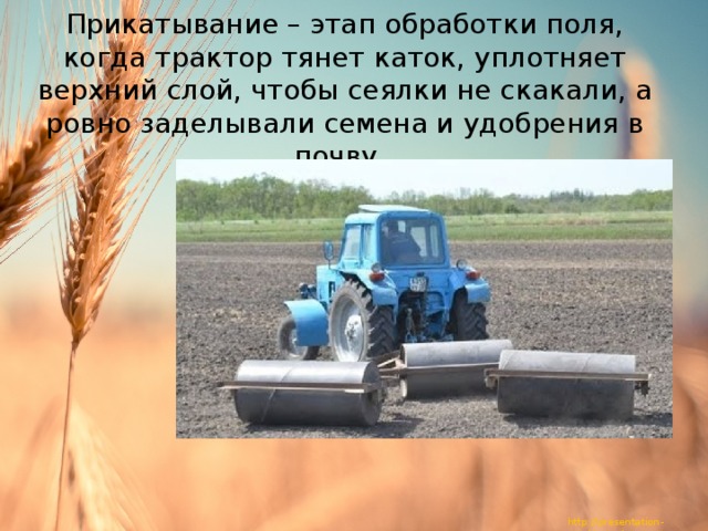  Прикатывание – этап обработки поля, когда трактор тянет каток, уплотняет верхний слой, чтобы сеялки не скакали, а ровно заделывали семена и удобрения в почву. 