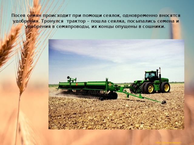  Посев семян происходит при помощи сеялок, одновременно вносятся удобрения. Тронулся трактор – пошла сеялка, посыпались семена и удобрения в семяпроводы, их концы опущены в сошники. 