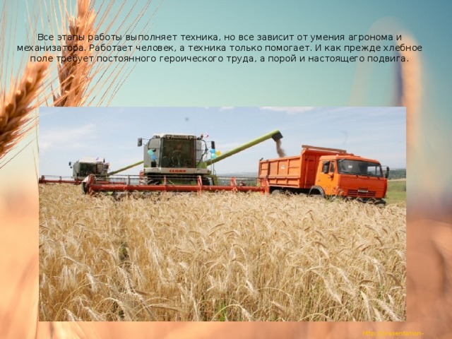  Все этапы работы выполняет техника, но все зависит от умения агронома и механизатора. Работает человек, а техника только помогает. И как прежде хлебное поле требует постоянного героического труда, а порой и настоящего подвига. 17. 