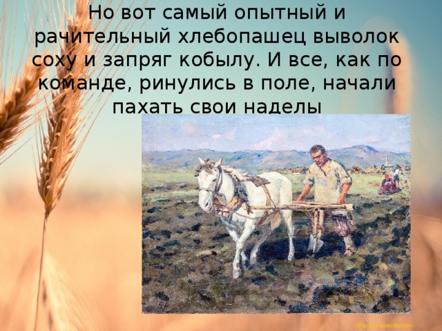 Но вот самый опытный и рачительный хлебопашец выволок соху и запряг кобылу. И все, как по команде, ринулись в поле, начали пахать свои наделы 
