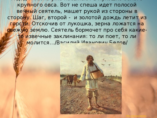 А дед и бабка уже насыпают в лукошко белого крупного овса. Вот не спеша идет полосой вечный сеятель, машет рукой из стороны в сторону. Шаг, второй - и золотой дождь летит из горсти. Отскочив от лукошка, зерна ложатся на свежую землю. Сеятель бормочет про себя какие-то извечные заклинания: то ли поет, то ли молится…/Василий Иванович Белов/ 