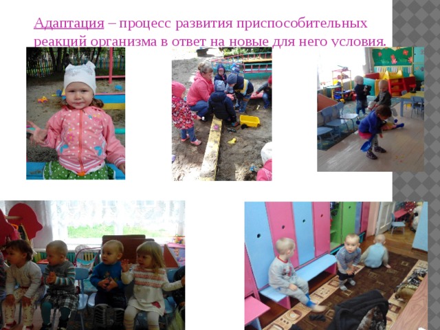 Адаптация – процесс развития приспособительных реакций организма в ответ на новые для него условия.   