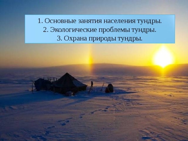 Основные занятия населения тундры. Экологические проблемы тундры. Охрана природы тундры. 