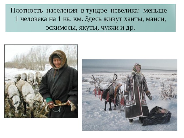 Плотность населения в тундре невелика: меньше 1 человека на 1 кв. км. Здесь живут ханты, манси, эскимосы, якуты, чукчи и др. 