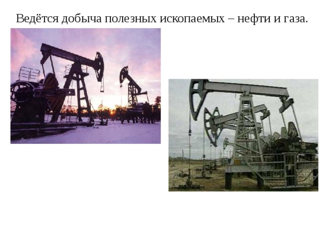 Ведётся добыча полезных ископаемых – нефти и газа. 