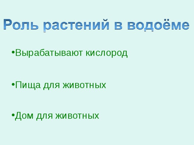 Вырабатывают кислород Пища для животных Дом для животных 