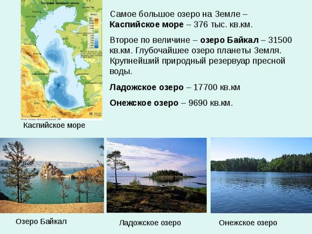 Самое большое озеро на Земле – Каспийское море – 376 тыс. кв.км. Второе по величине – озеро Байкал – 31500 кв.км. Глубочайшее озеро планеты Земля. Крупнейший природный резервуар пресной воды. Ладожское озеро – 17700 кв.км Онежское озеро – 9690 кв.км. Каспийское море Озеро Байкал Онежское озеро Ладожское озеро 