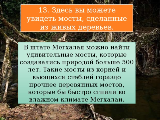 13. Здесь вы можете увидеть мосты, сделанные из живых деревьев. В штате Мегхалая можно найти удивительные мосты, которые создавались природой больше 500 лет. Такие мосты из корней и вьющихся стеблей гораздо прочнее деревянных мостов, которые бы быстро сгнили во влажном климате Мегхалаи. 