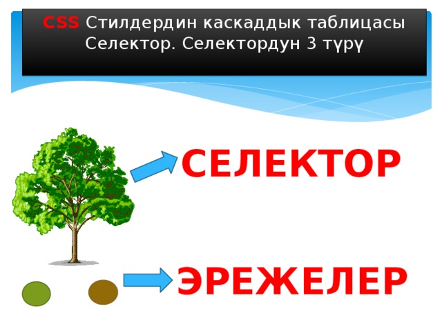 CSS Стилдердин каскаддык таблицасы Селектор. Селектордун 3 түрү СЕЛЕКТОР ЭРЕЖЕЛЕР 