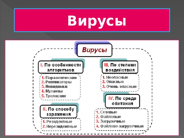 Вирусы 