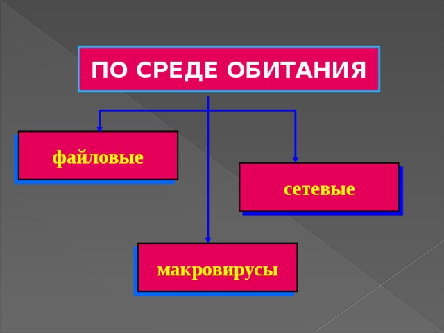 ПО СРЕДЕ ОБИТАНИЯ файловые сетевые макровирусы  