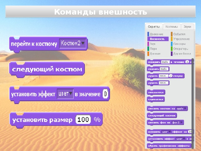 Команды внешность 