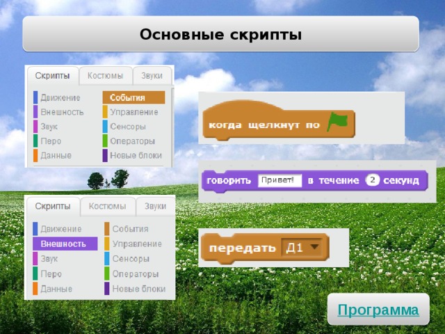 Основные скрипты 