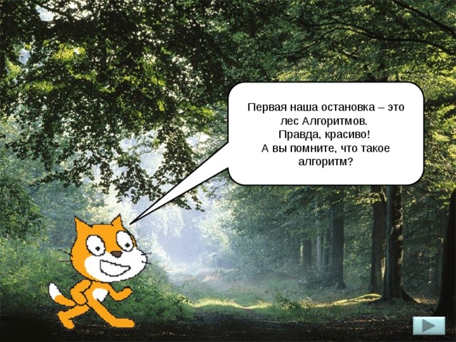 Первая наша остановка – это лес Алгоритмов. Правда, красиво! А вы помните, что такое алгоритм? 
