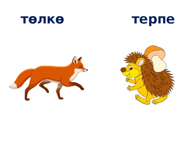 төлкө терпе 