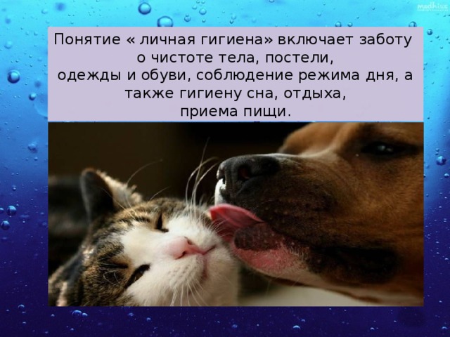 Понятие « личная гигиена» включает заботу о чистоте тела, постели, одежды и обуви, соблюдение режима дня, а также гигиену сна, отдыха, приема пищи. 