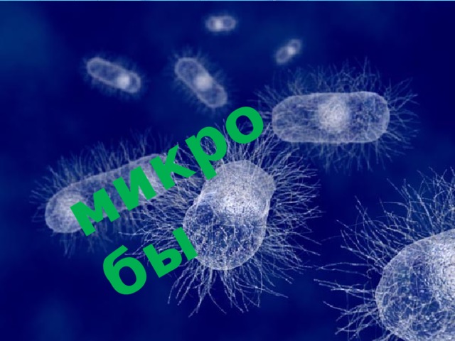микробы 