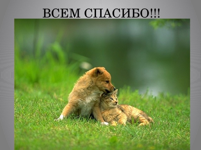 ВСЕМ СПАСИБО!!! 