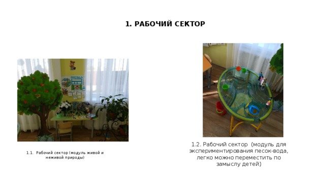 1. РАБОЧИЙ СЕКТОР 1.1. Рабочий сектор (модуль живой и неживой природы) 1.2. Рабочий сектор (модуль для экспериментирования песок-вода, легко можно переместить по замыслу детей)  