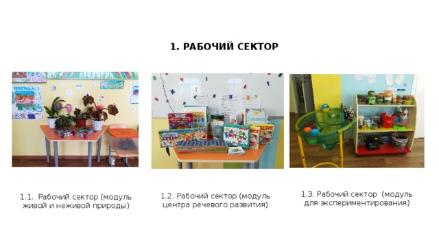 1. РАБОЧИЙ СЕКТОР 1.2. Рабочий сектор (модуль центра речевого развития) 1.1. Рабочий сектор (модуль живой и неживой природы) 1.3. Рабочий сектор (модуль для экспериментирования)  