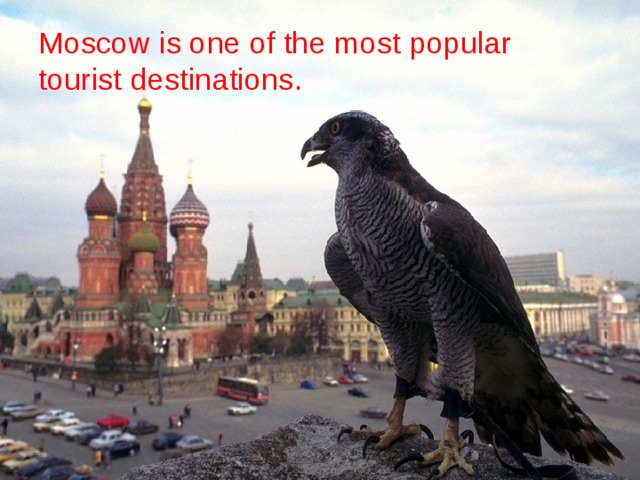 Moscow is one of the most popular tourist destinations. 