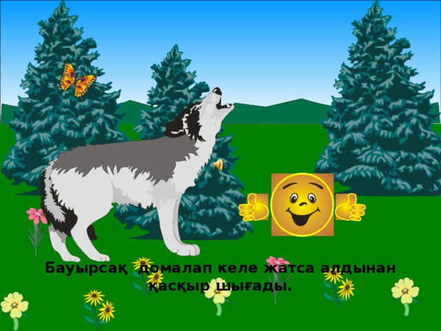 Бауырсақ домалап келе жатса алдынан қасқыр шығады. 