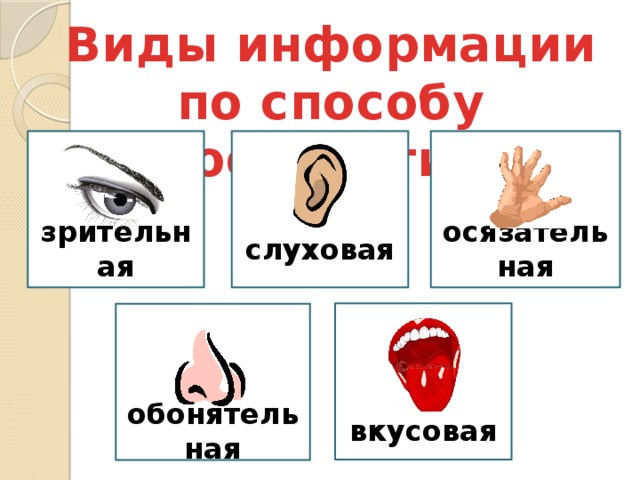 Виды информации по способу восприятия слуховая зрительная осязательная вкусовая обонятельная 