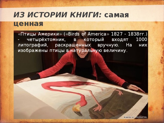 ИЗ ИСТОРИИ КНИГИ: самая ценная «Птицы Америки» («Birds of America» 1827 - 1838гг.) - четырёхтомник, в который входят 1000 литографий, раскрашенных вручную. На них изображены птицы в натуральную величину. . Текст слайда   