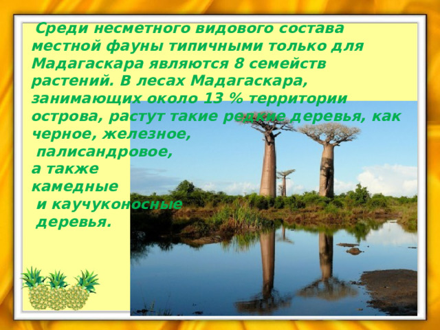  Среди несметного видового состава местной фауны типичными только для Мадагаскара являются 8 семейств растений. В лесах Мадагаскара, занимающих около 13 % территории острова, растут такие редкие деревья, как черное, железное,  палисандровое, а также камедные  и каучуконосные  деревья. 