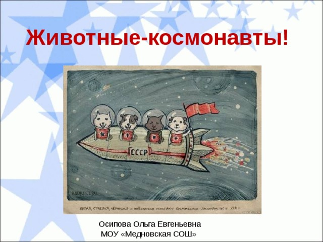 Животные-космонавты! Осипова Ольга Евгеньевна  МОУ «Медновская СОШ» 