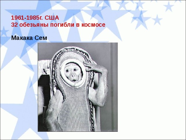  1961-1985г. США  32 обезьяны погибли в космосе Макака Сем 