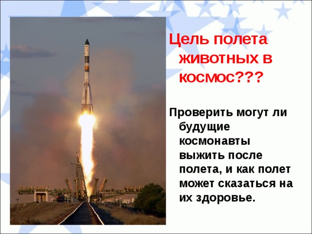 Цель полета животных в космос??? Проверить могут ли будущие космонавты выжить после полета, и как полет может сказаться на их здоровье. 