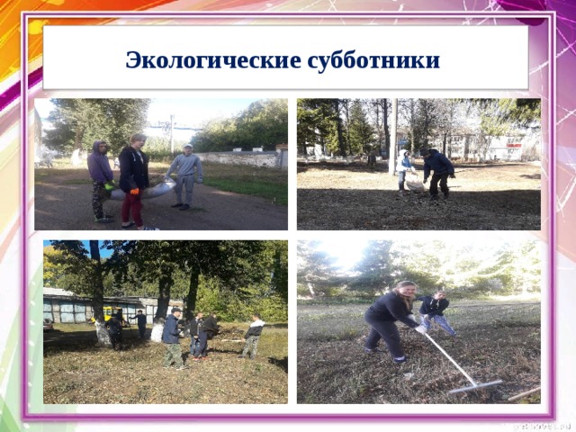 Экологические субботники 