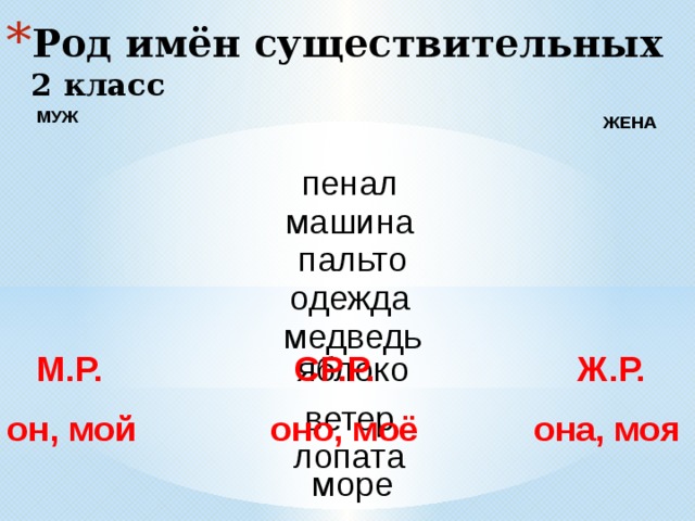 Род имён существительных 2 класс МУЖ  ЖЕНА  пенал машина пальто одежда медведь яблоко М.Р. СР.Р.  Ж.Р. ветер он, мой оно, моё она, моя лопата море 