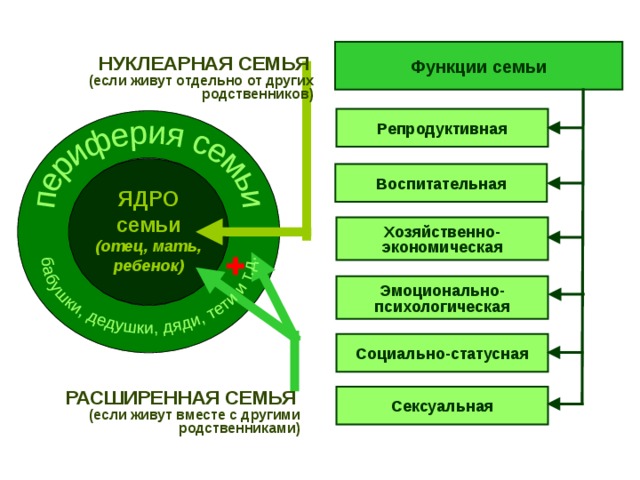Функции семьи НУКЛЕАРНАЯ СЕМЬЯ  (если живут отдельно от других родственников) Репродуктивная Воспитательная ЯДРО семьи (отец, мать, ребенок) Хозяйственно- экономическая Эмоционально- психологическая Социально-статусная РАСШИРЕННАЯ СЕМЬЯ  (если живут вместе с другими родственниками) Сексуальная 