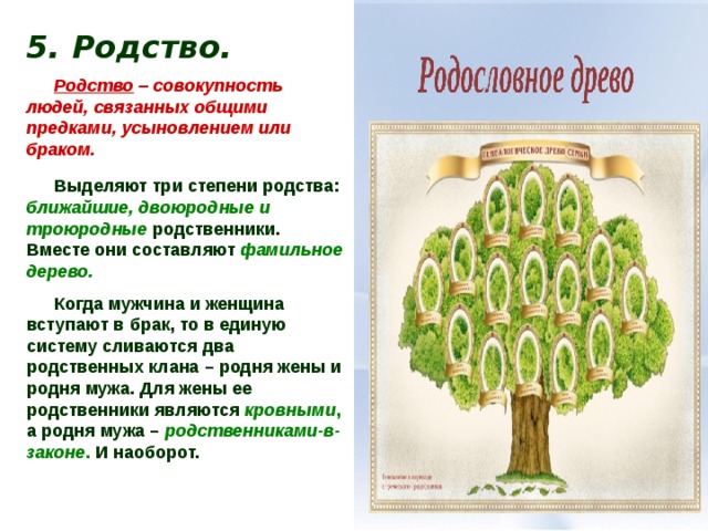 5. Родство. Родство – совокупность людей, связанных общими предками, усыновлением или браком. Выделяют три степени родства:  ближайшие, двоюродные и троюродные  родственники. Вместе они составляют  фамильное дерево. Когда мужчина и женщина вступают в брак, то в единую систему сливаются два родственных клана – родня жены и родня мужа. Для жены ее родственники являются  кровными ,  а родня мужа –  родственниками-в-законе .  И наоборот. 