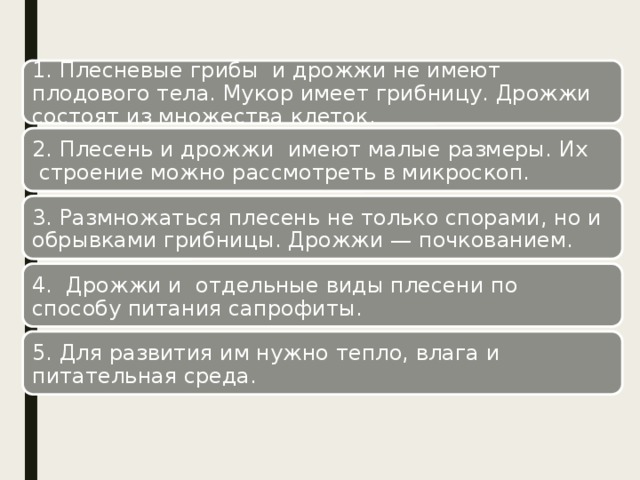 1. Плесневые грибы  и дрожжи не имеют плодового тела. Мукор имеет грибницу. Дрожжи состоят из множества клеток. 2. Плесень и дрожжи  имеют малые размеры. Их  строение можно рассмотреть в микроскоп. 3. Размножаться плесень не только спорами, но и обрывками грибницы. Дрожжи — почкованием. 4.  Дрожжи и  отдельные виды плесени по способу питания сапрофиты. 5. Для развития им нужно тепло, влага и питательная среда. 