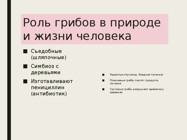 Роль грибов в природе и жизни человека Съедобные (шляпочные) Симбиоз с деревьями Изготавливают пенициллин (антибиотик) Ядовитые (мухомор, бледная поганка) Плесневые грибы портят продукты питания Трутовые грибы разрушают древесину деревьев 