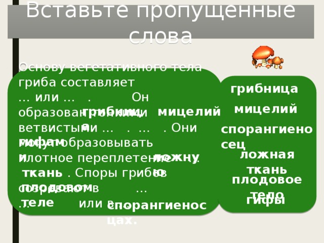 Вставьте пропущенные слова Основу вегетативного тела гриба составляет  … или … . Он образован тонкими ветвистыми … . … . Они могут образовывать плотное переплетение - …  ткань . Споры грибов созревают в … … или в … грибница мицелий грибница мицелий спорангиеносец гифами ложная ткань ложную  плодовое тело плодовом теле гифы спорангиеносцах. 