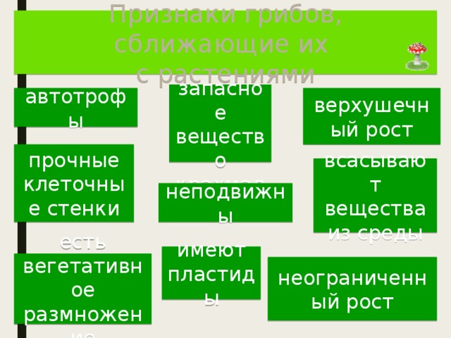Признаки грибов, сближающие их с растениями  запасное вещество крахмал автотрофы верхушечный рост прочные клеточные стенки всасывают вещества из среды неподвижны имеют пластиды есть вегетативное размножение неограниченный рост 