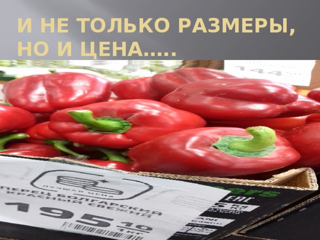 И не только размеры, но и цена….. 
