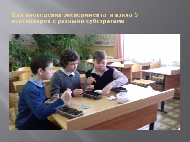 Для проведения эксперимента я взяла 5 контейнеров с разными субстратами 