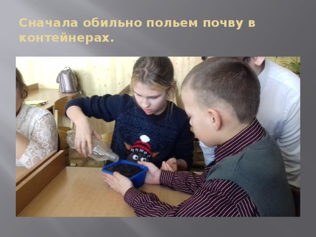 Сначала обильно польем почву в контейнерах. 