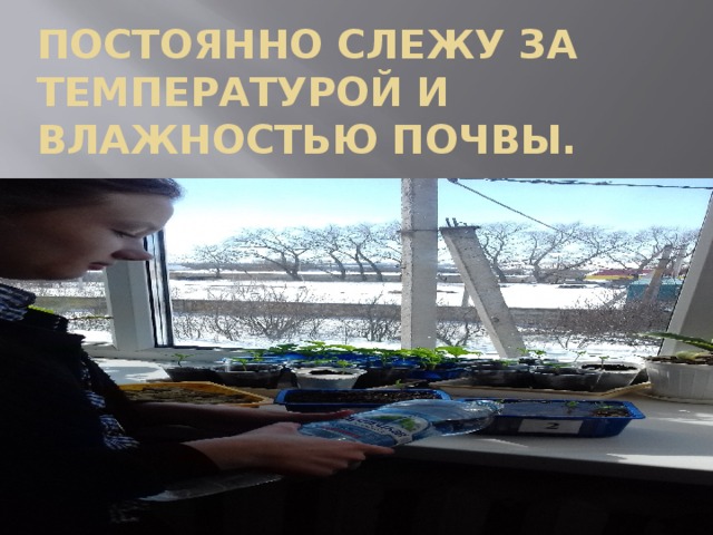 Постоянно слежу за температурой и влажностью почвы. 