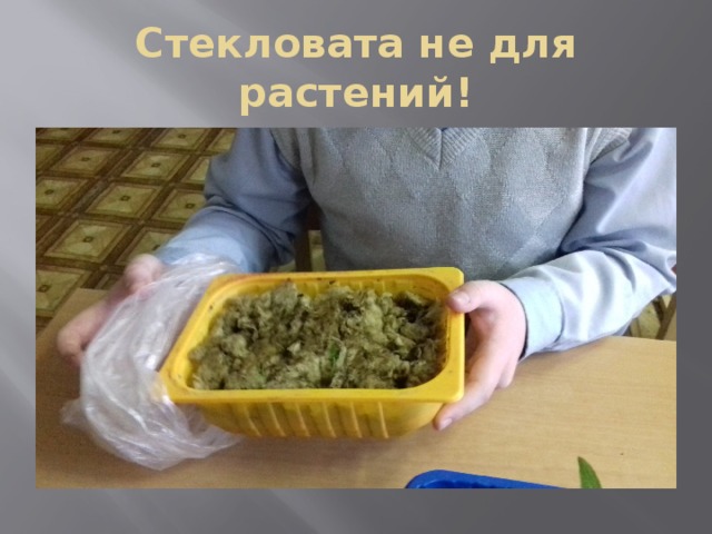 Стекловата не для растений! 