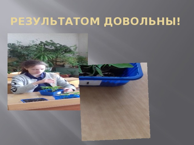 Результатом довольны! 